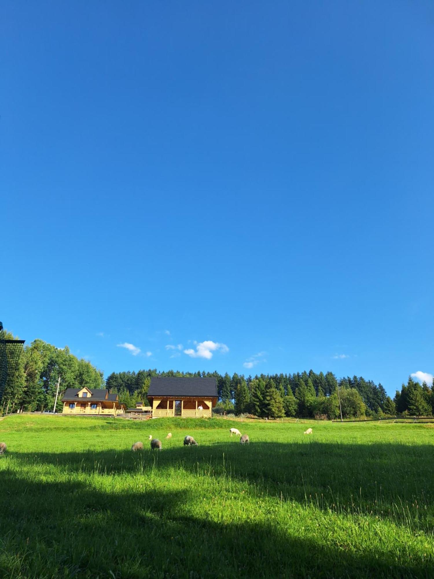 Domek W Klisiowkach Ujsoły Esterno foto